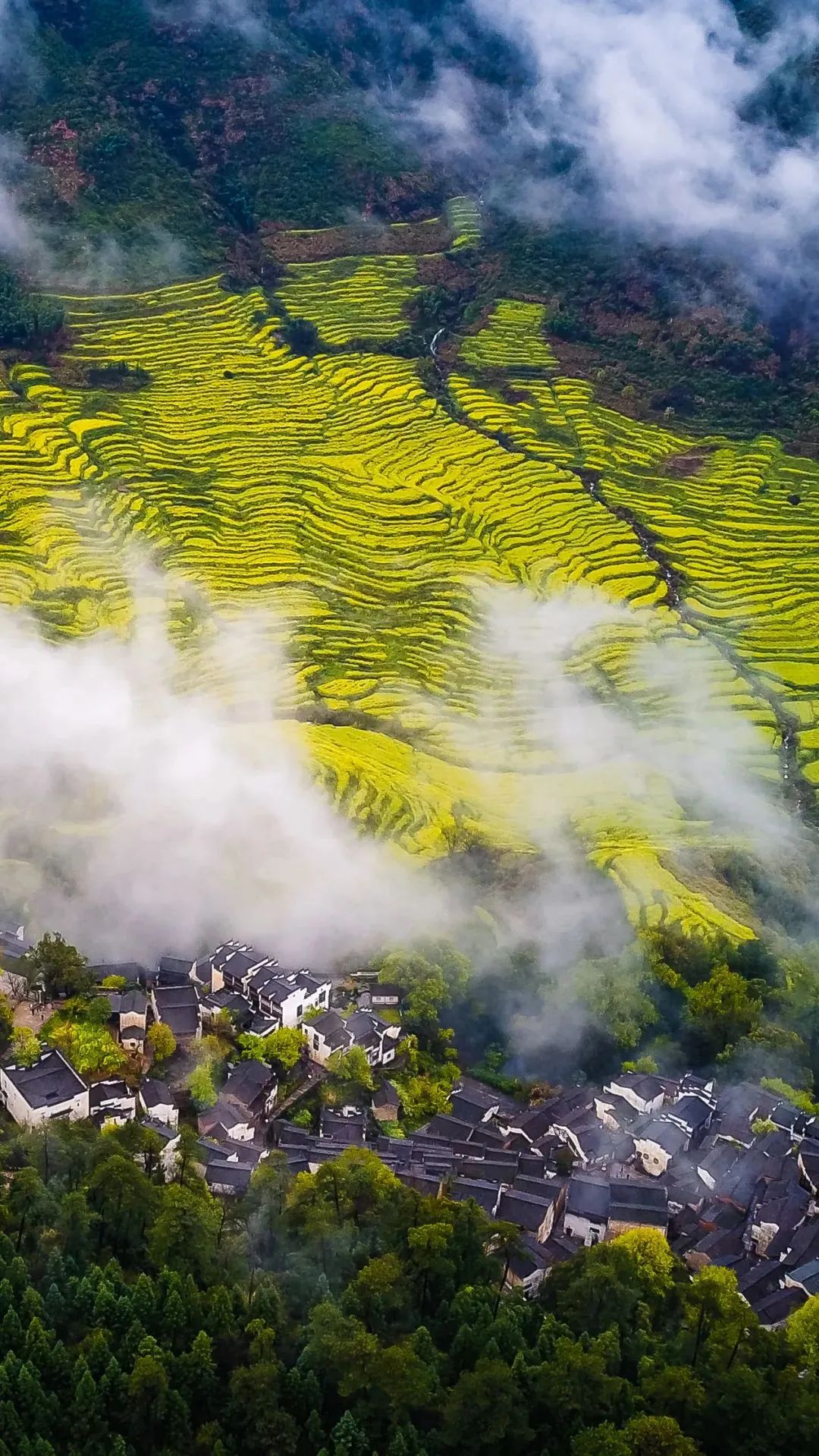 江西，文化、经济与发展多维视角的深入探讨